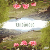 Undivided