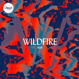 Wildfire