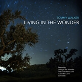 Living in the Wonder