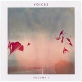 Voices, Vol 1