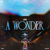 A Wonder