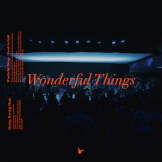 Wonderful Things