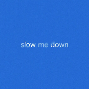 Slow Me Down By Charles Weems