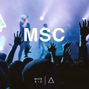 Shine Por Mosaic MSC