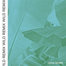 Wild (Remix) By Local Sound