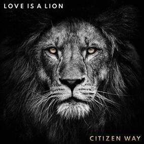 Love Is A Lion By Citizen Way