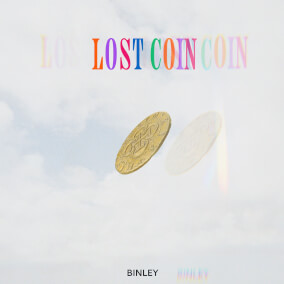 Lost Coin By Binley, Whitney Wood