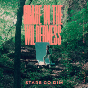 Wasted By Stars Go Dim