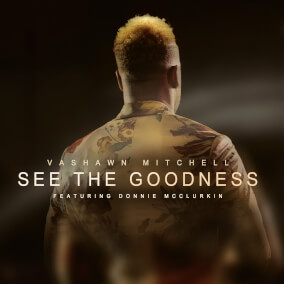 See the Goodness (feat. Donnie McClurkin) By VaShawn Mitchell