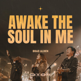 Awake The Soul In Me By Brad Alden