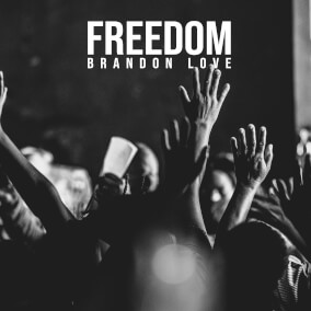 Freedom By Brandon Love