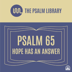 Psalm 65 (Hope Has An Answer) - Radio Edit Por The Psalm Library