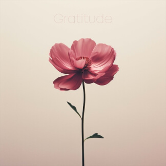 Gratitude