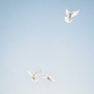 Let Everything That Has Breath