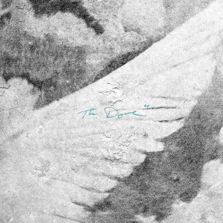 The Dove