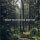 Psalm 139 (That You Won't Go)
