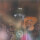 Speak (Live)