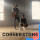 Cornerstone (feat. Zach Williams) [Radio Edit]