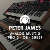 Analog Multi 2 -  Pro5, OB, Sub37 Peter James