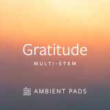 Gratitude MultiTracks.com