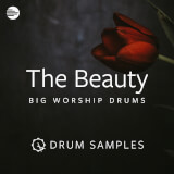 The Beauty - Big Worship Drums MultiTracks.com