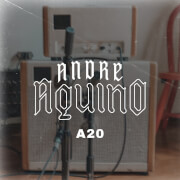 A20
