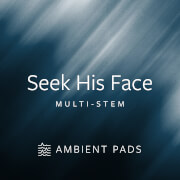 Seek His Face