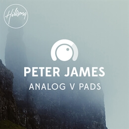 Analog V Pad+