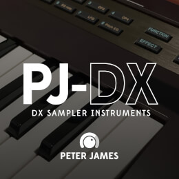 PJ-DX