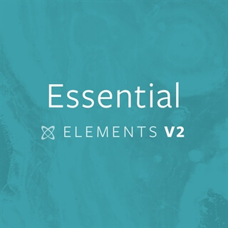Essential Elements V2