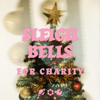 7 - SLEIGH BELLS for Charity