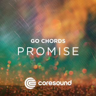 Promise - GoChords