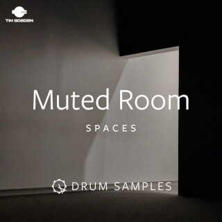SPACES: The Muted Room