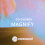 Magnify