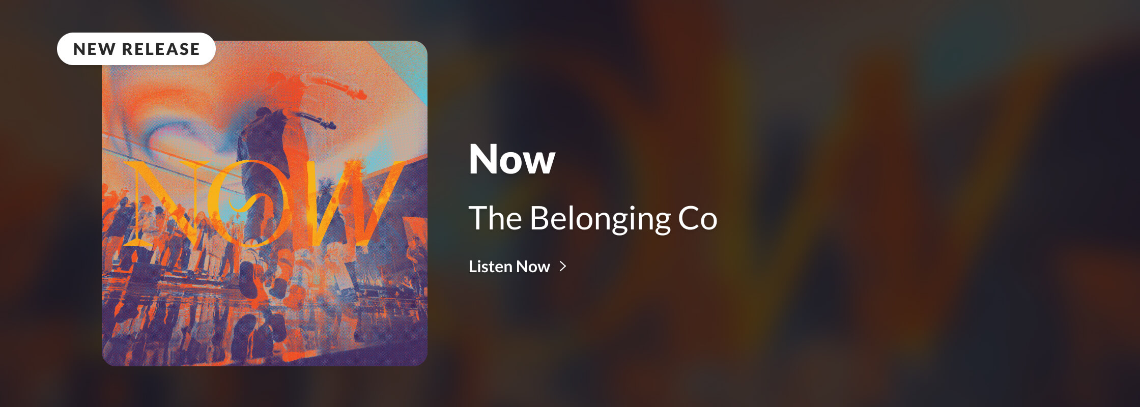 The Belonging Co | NOW
