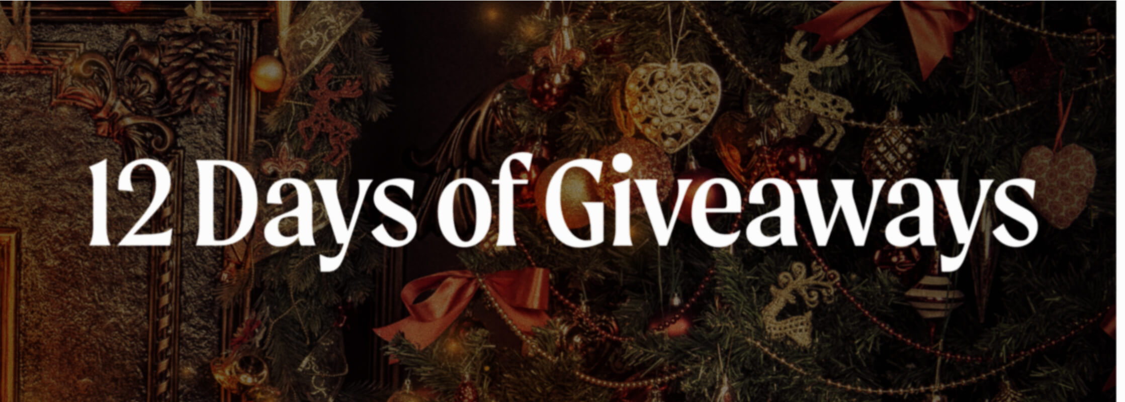 12 Days of Giveaways 2024